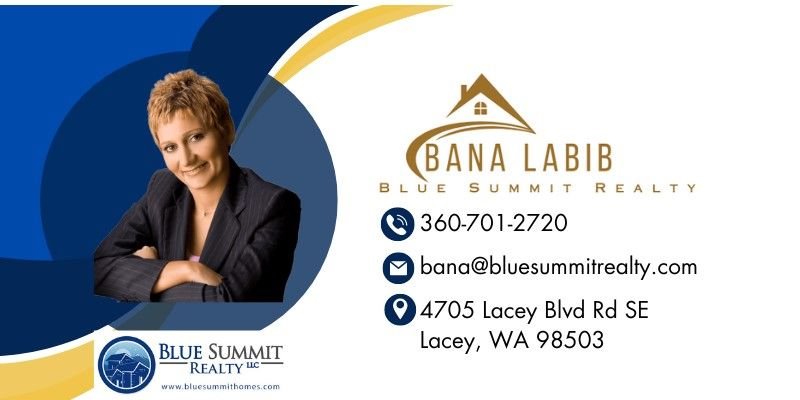 Bana Labib (Blue Summit Reality) logo